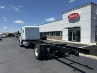 2020 Freightliner CASCADIA 113