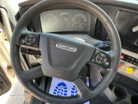 2021 Freightliner CASCADIA 126