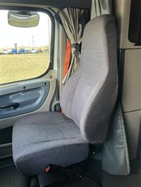2018 Freightliner Cascadia 113
