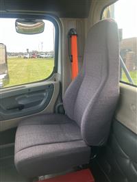 2015 Freightliner Cascadia 125