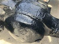 2011 Freightliner Cascadia 125