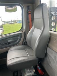 2014 Freightliner Cascadia 113