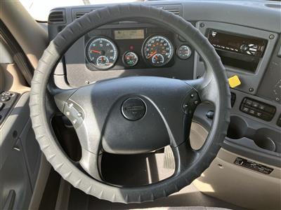 2019 Freightliner Cascadia 113