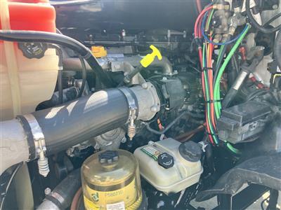 2019 Freightliner Cascadia 113