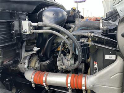 2013 Freightliner Cascadia 113
