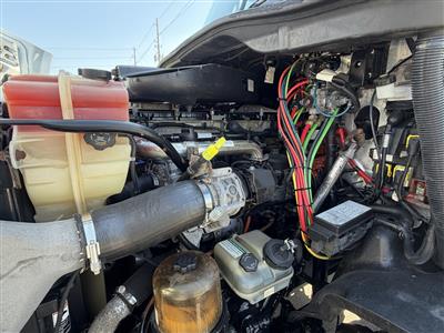 2014 Freightliner Cascadia 113