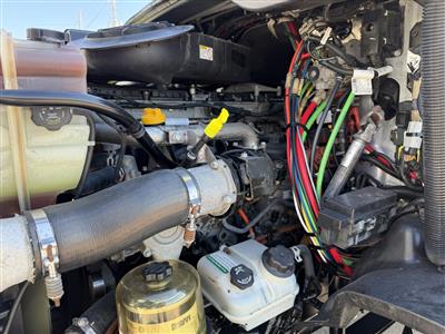2017 Freightliner Cascadia 113