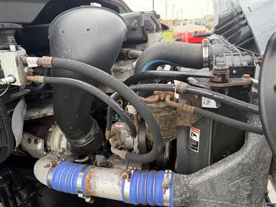 2013 Freightliner Cascadia 113
