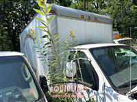 2000 Ford E-350
