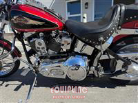 1998 HARLEY DAVIDSON Softtail Custom 