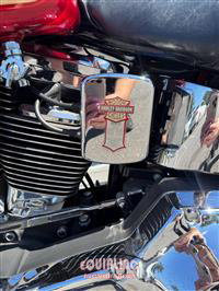 1998 HARLEY DAVIDSON Softtail Custom 
