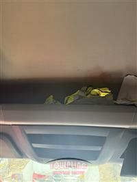 2019 Freightliner CASCADIA