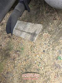 2012 Freightliner CASCADIA