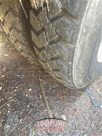 2009 International SF647