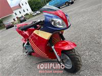 2016 CHINA POCKET RACER