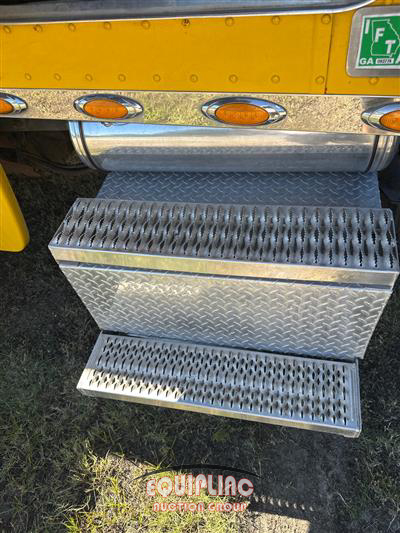 2009 Peterbilt 389