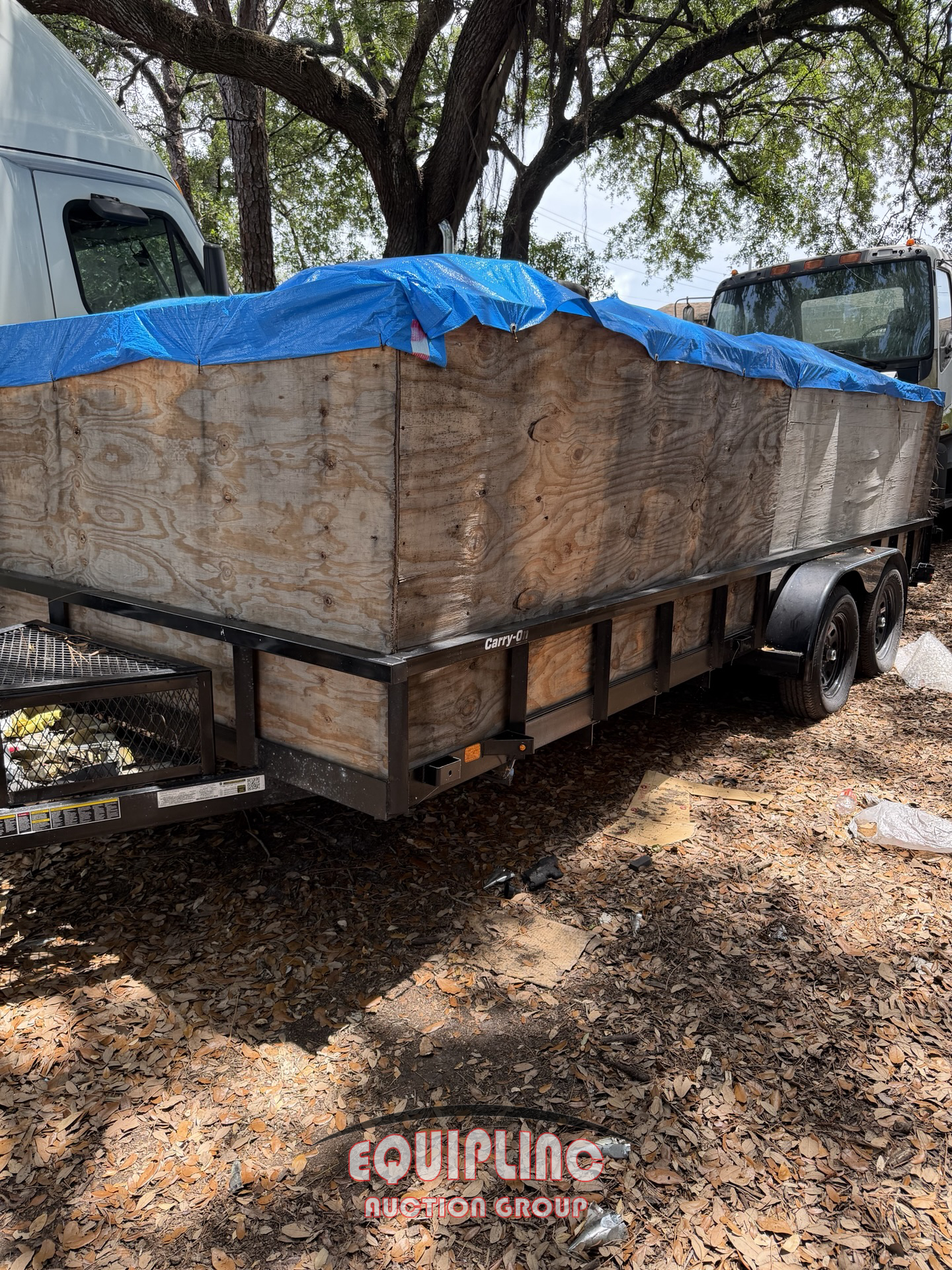 2025 CARRY-ON 18FT T/A CARGO TRAILER