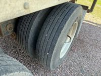 2015 Great Dane Champion SE