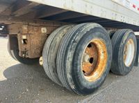 2008 Great Dane Champion SE