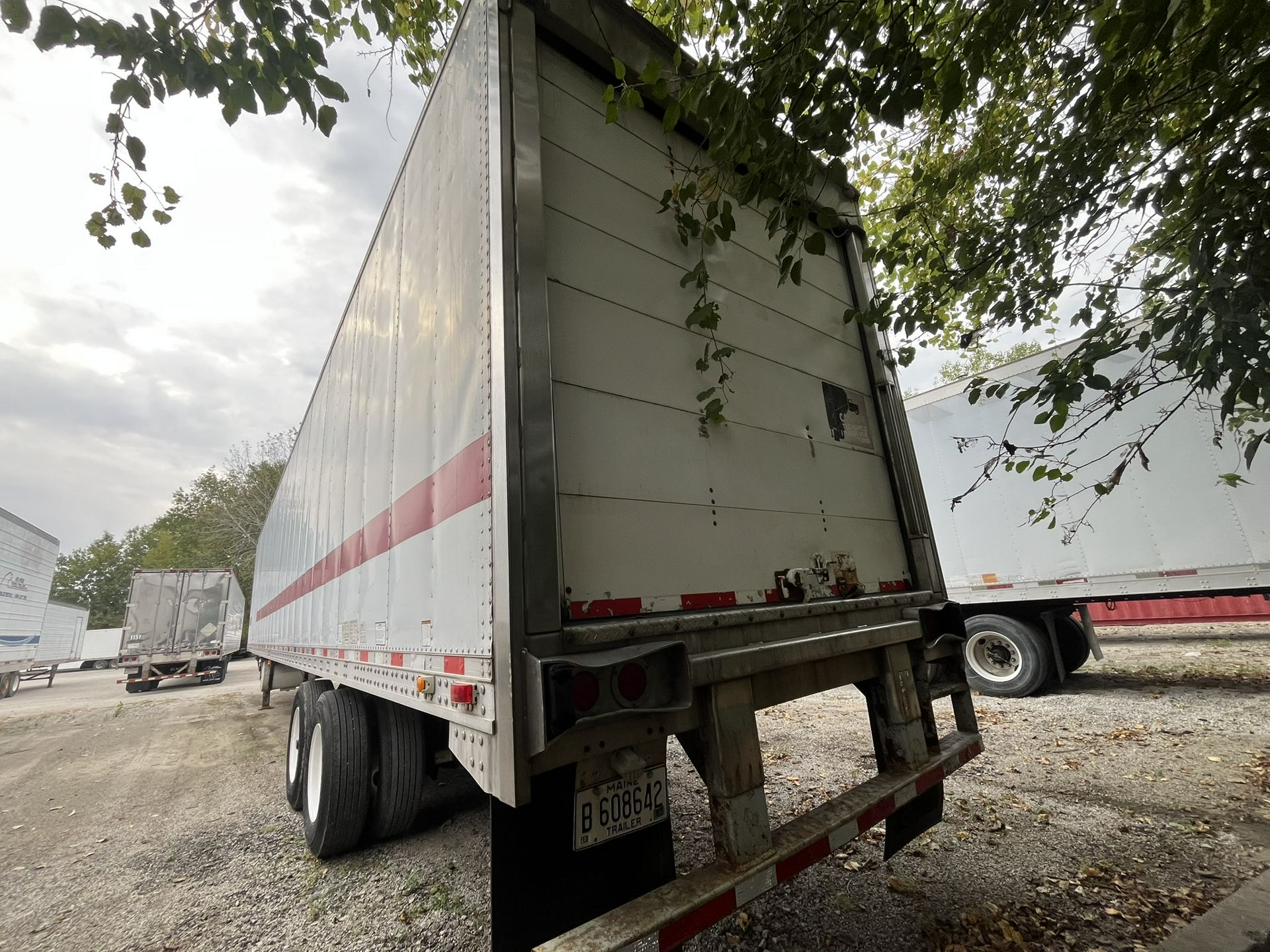 2005 Great Dane - image 4