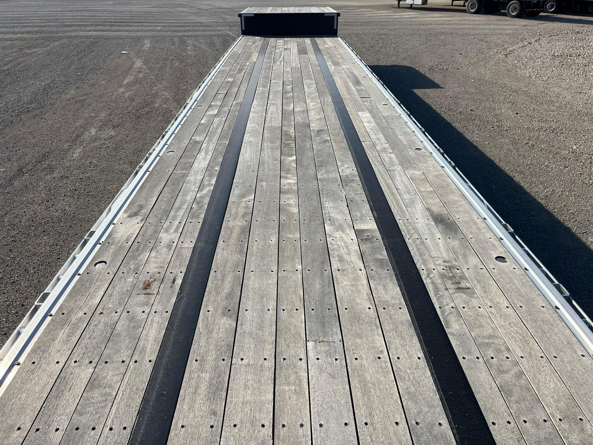 2023 Great Dane - image 6