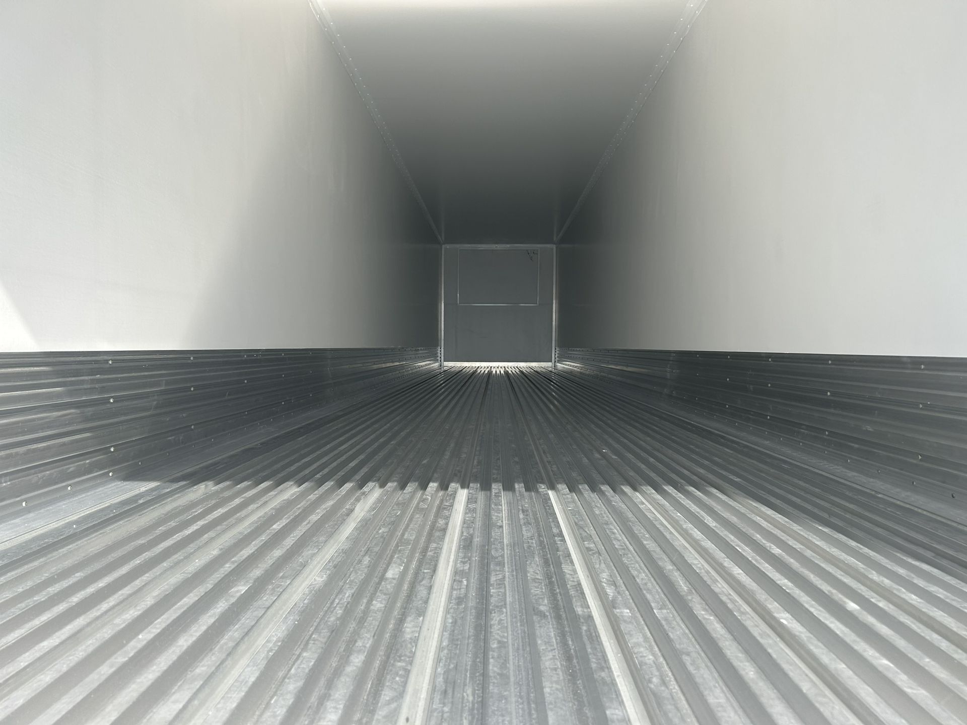 2026 Great Dane - image 6