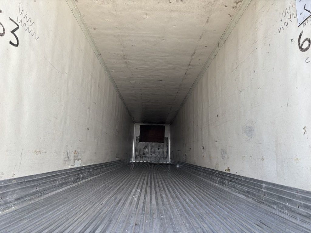 2000 Great Dane - image 6