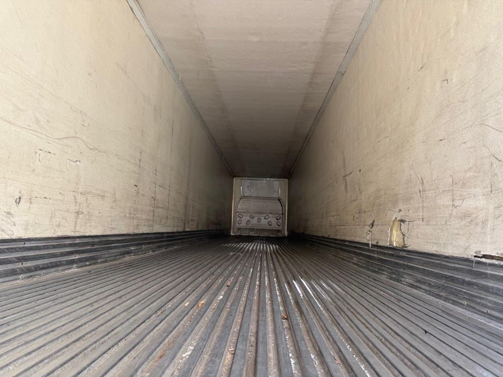 2003 Great Dane - image 5