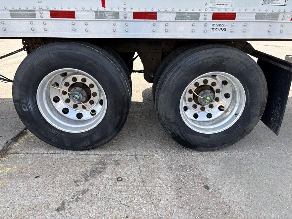 2017 Great Dane - image 6