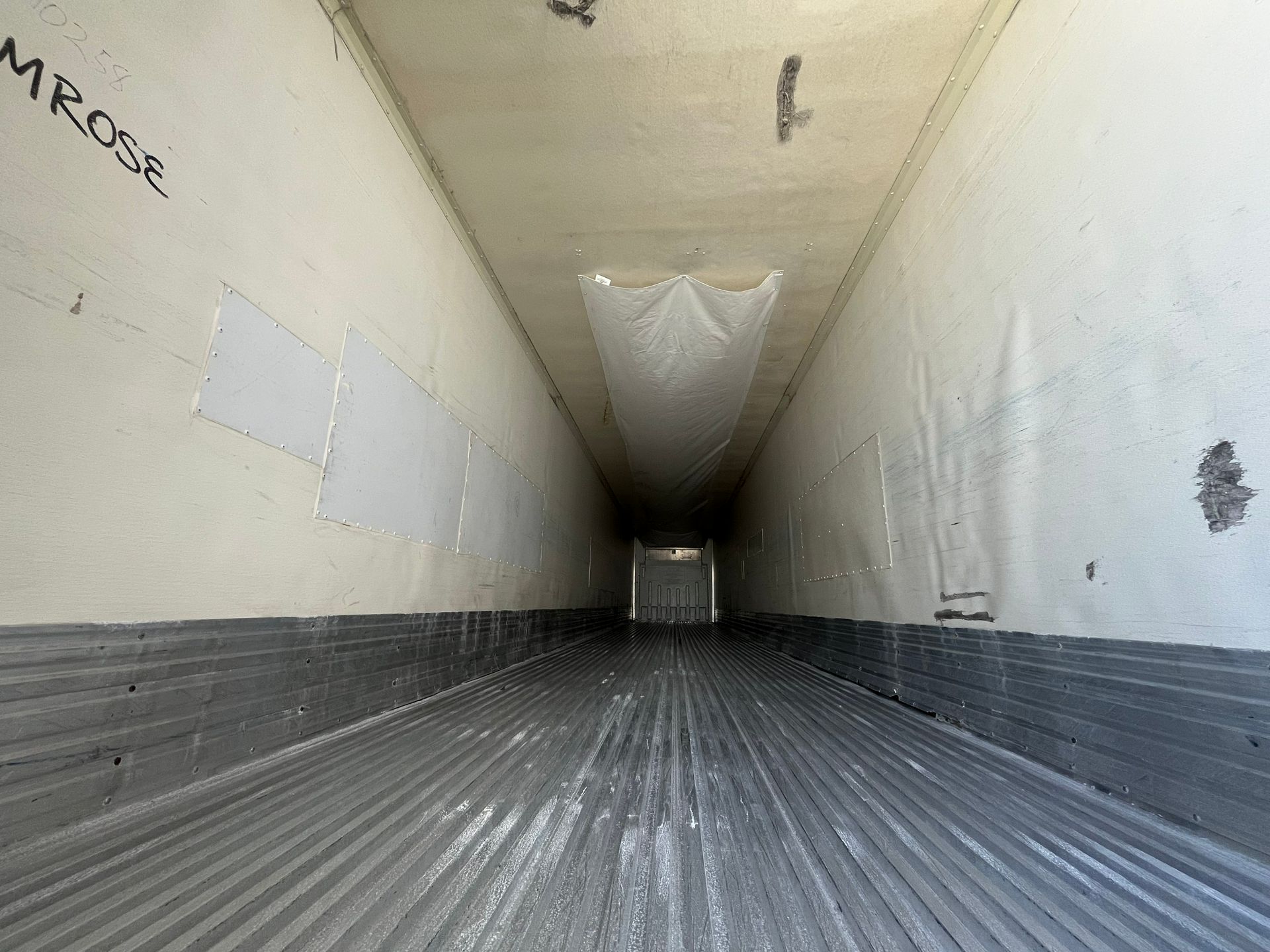 2004 Great Dane - image 6