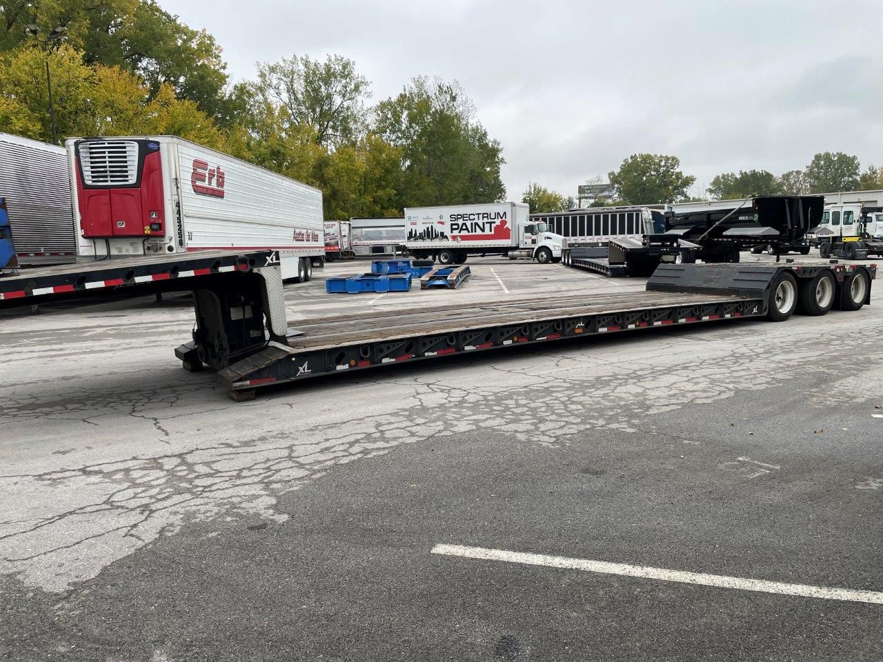 2019 XL Specialized - image 4