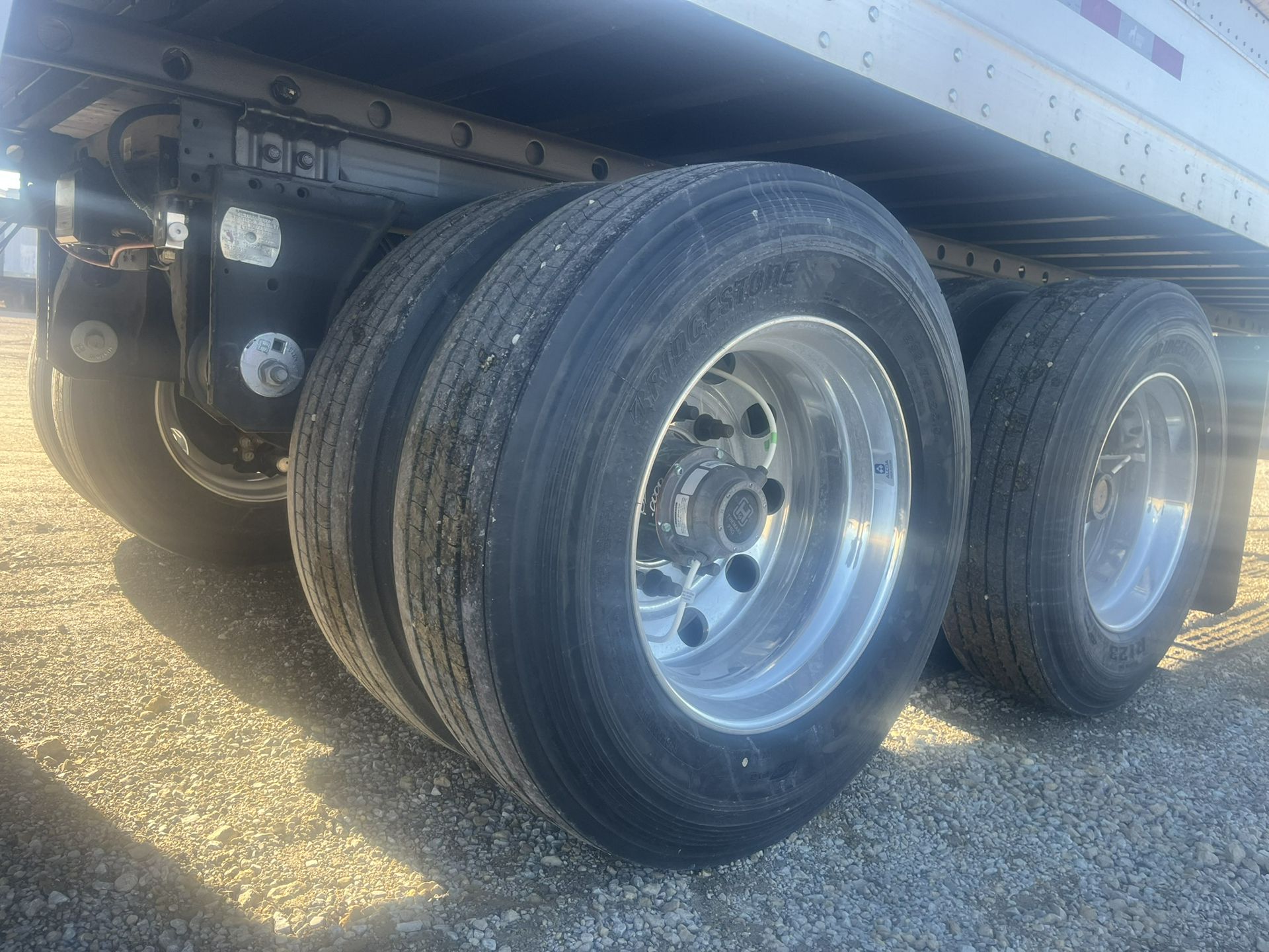 2026 Great Dane - image 5