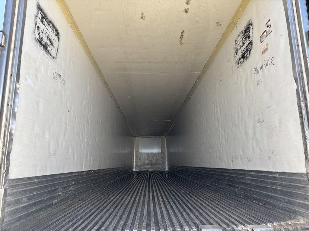 2005 Great Dane - image 5