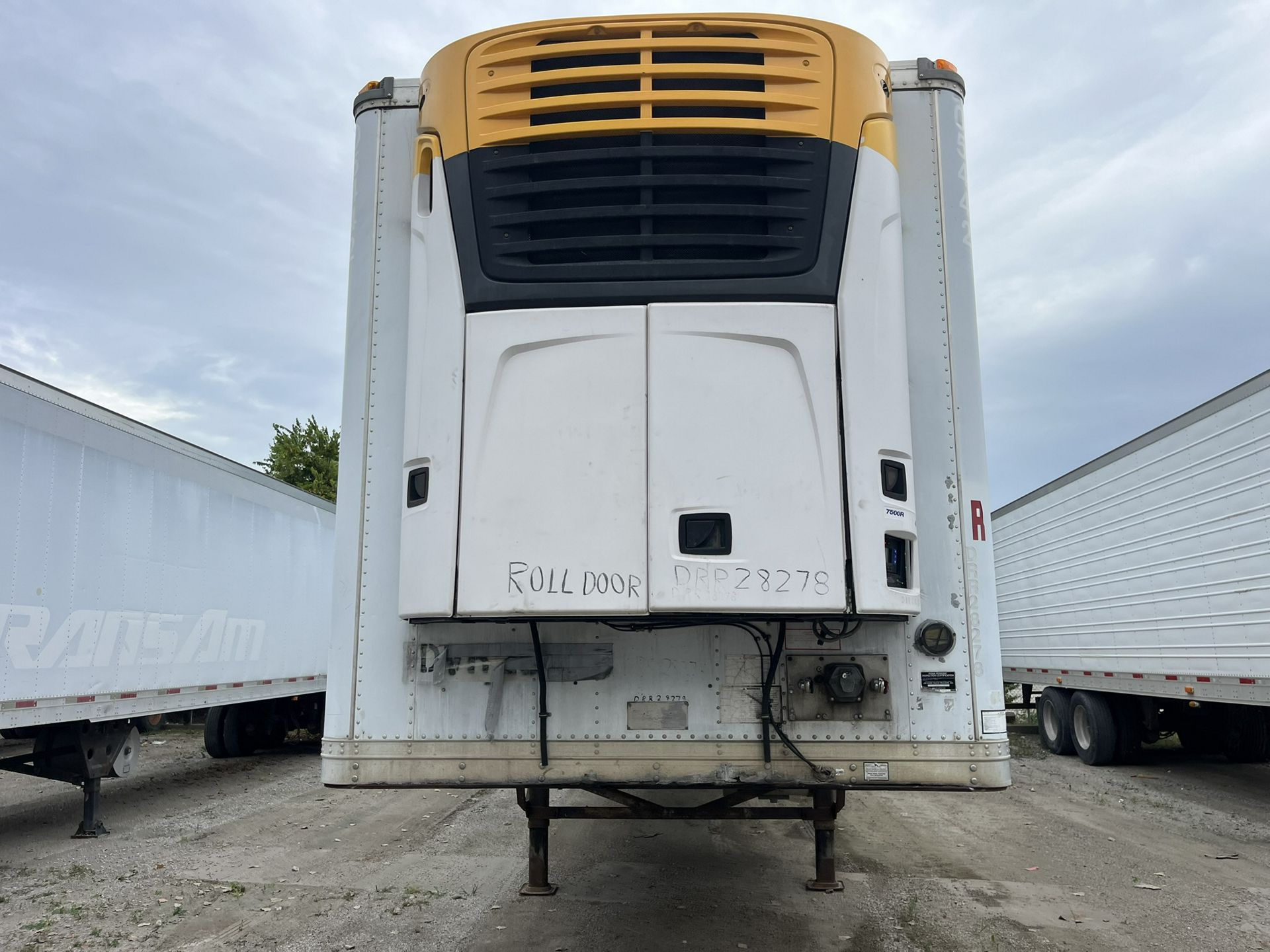 2005 Great Dane - image 3