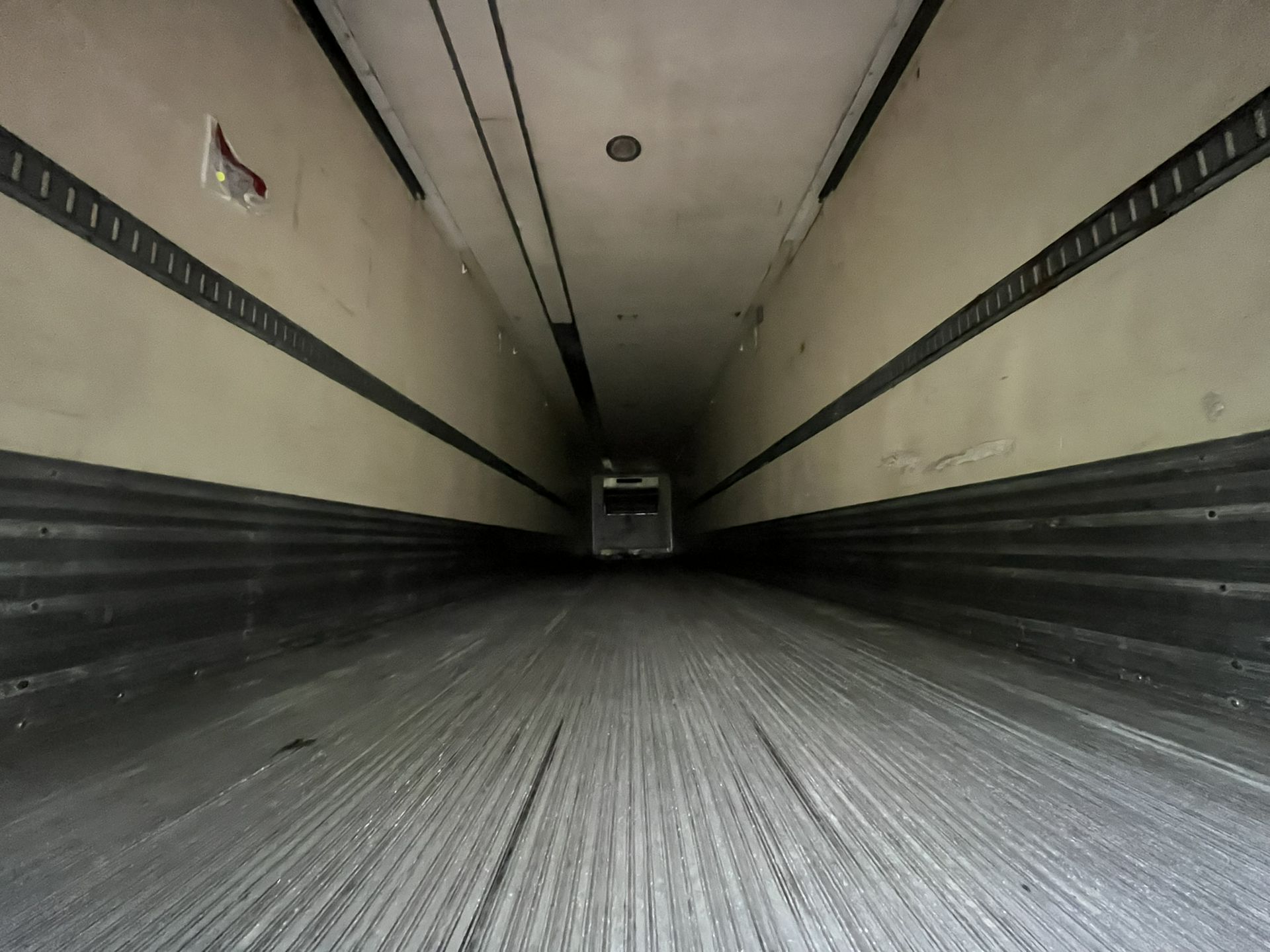 2005 Great Dane - image 6