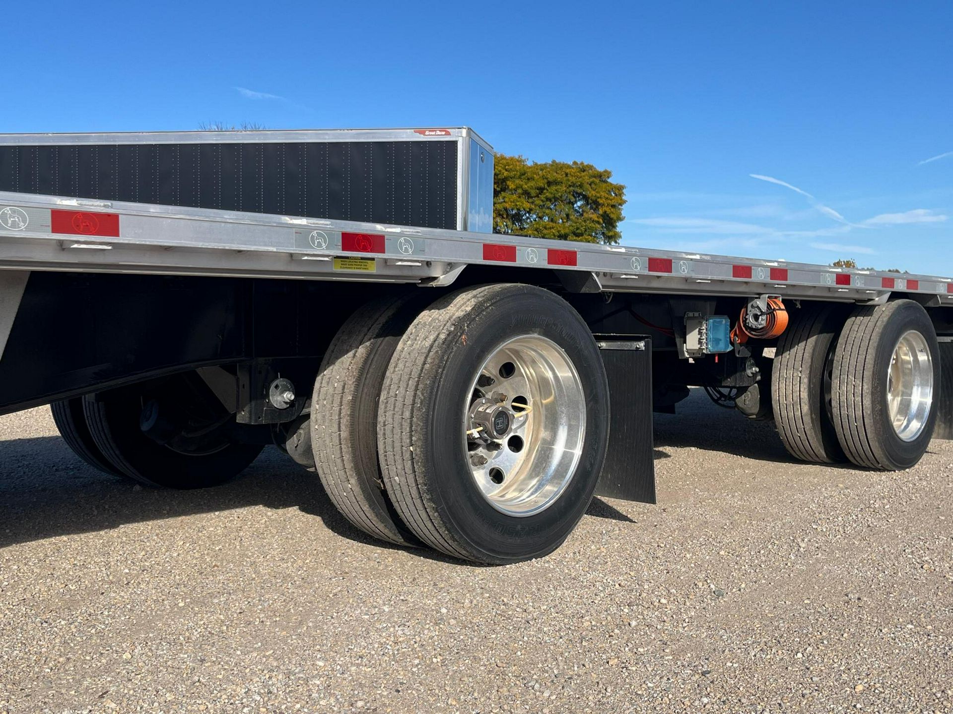 2023 Great Dane - image 5