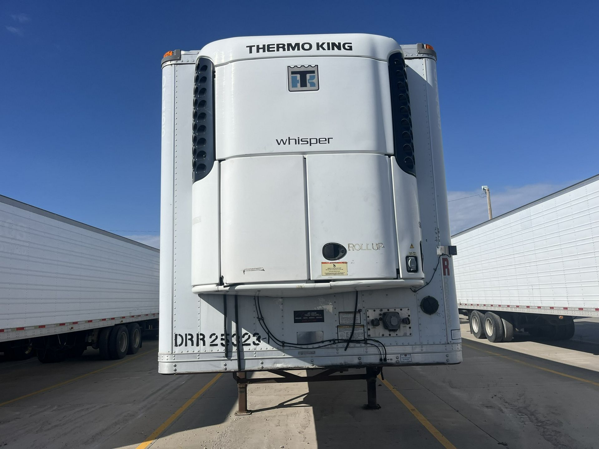 2007 Great Dane - image 3