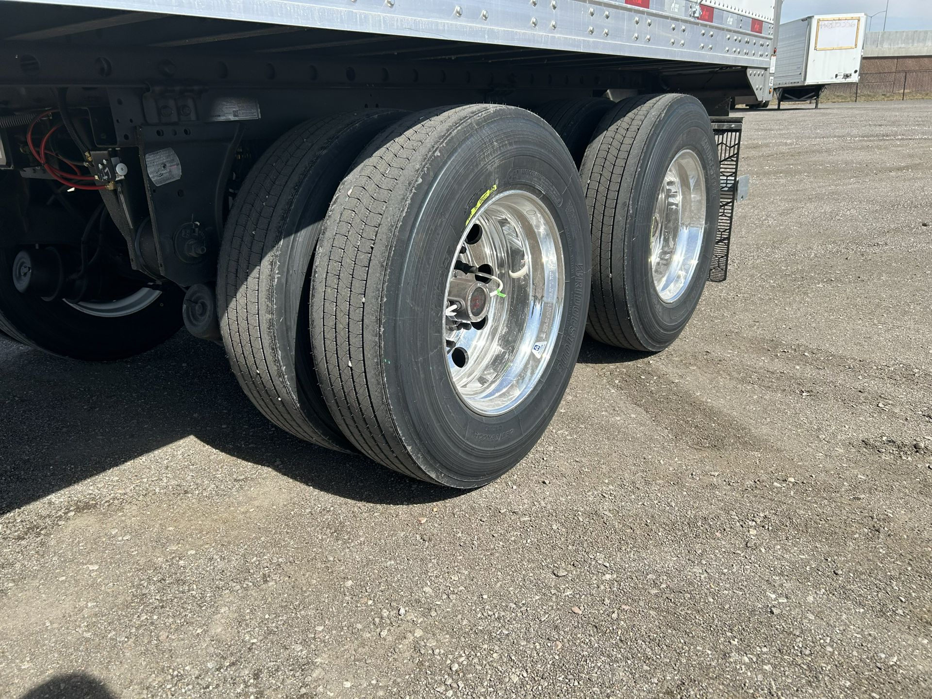 2027 Great Dane - image 7