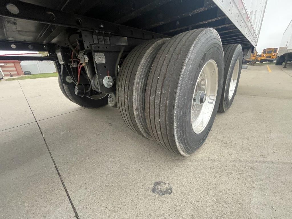 2026 Great Dane - image 5