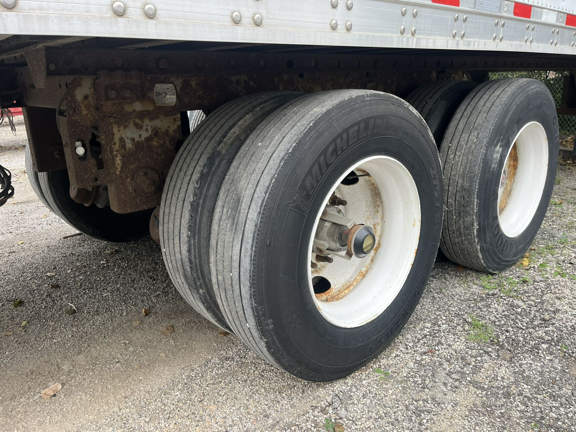 2005 Great Dane - image 5