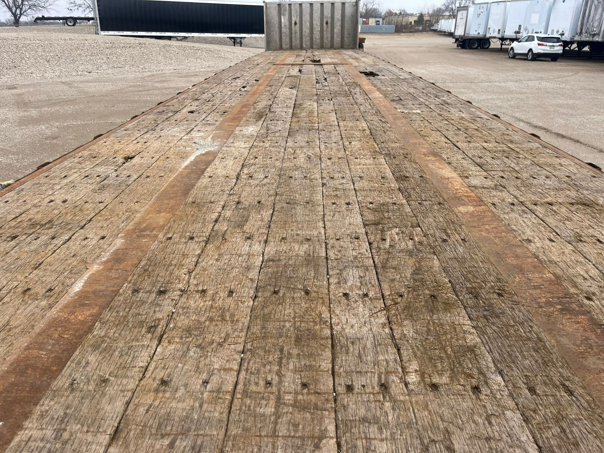 2013 Great Dane - image 6