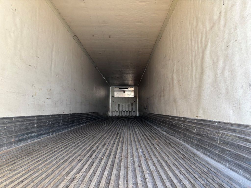 2003 Great Dane - image 6