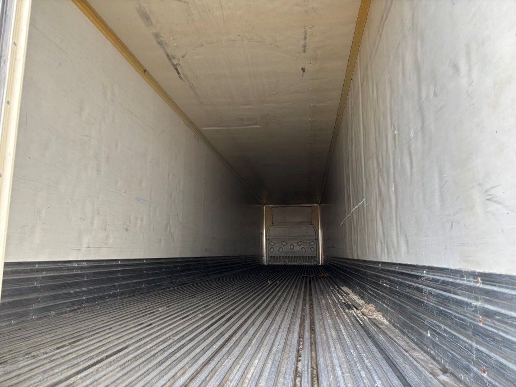 2005 Great Dane - image 6