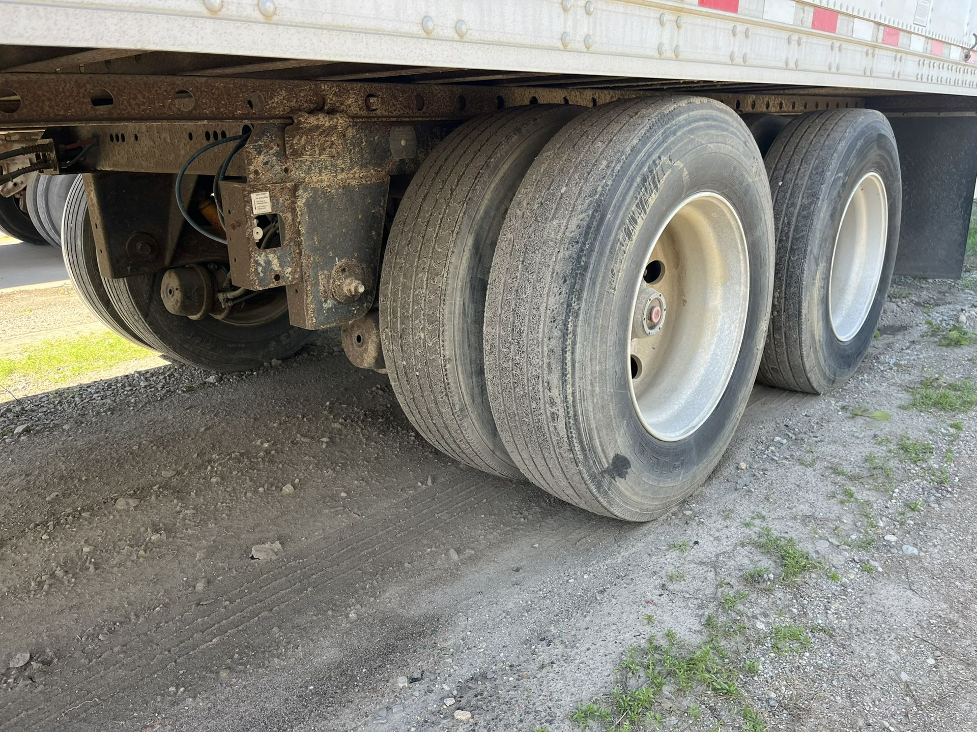 2005 Great Dane - image 5