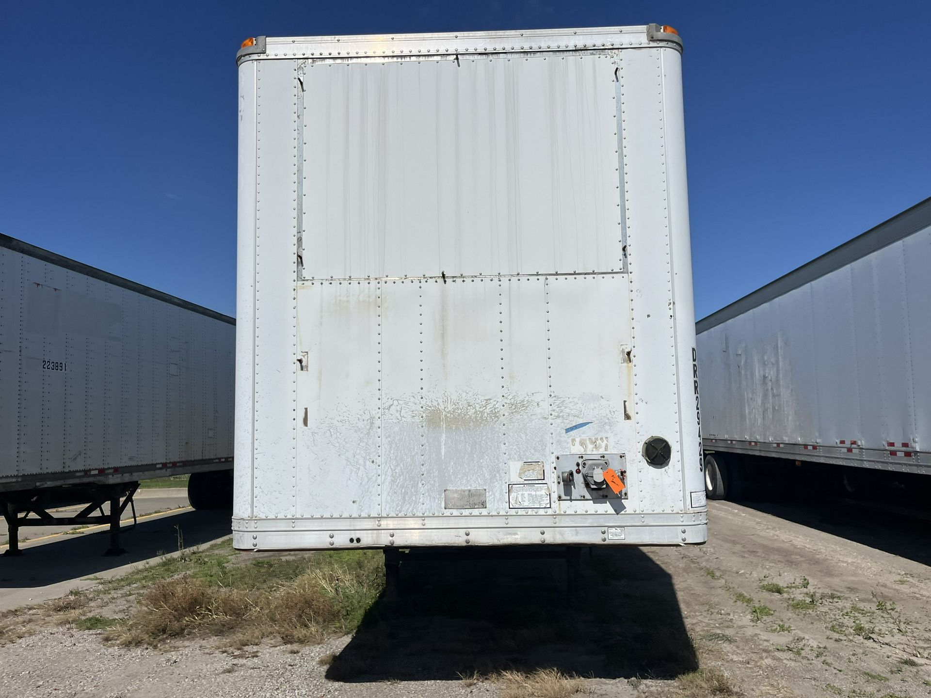 2005 Great Dane - image 3