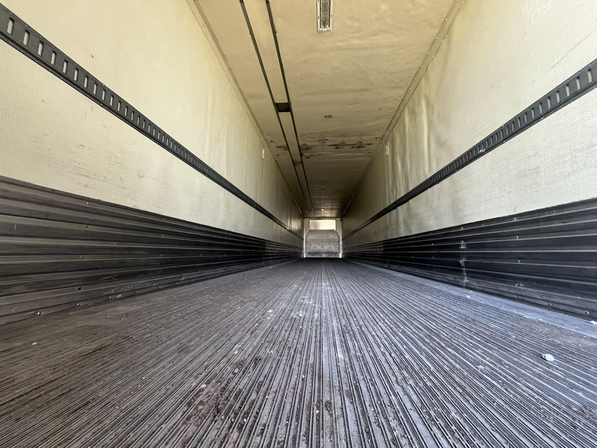 2005 Great Dane - image 6