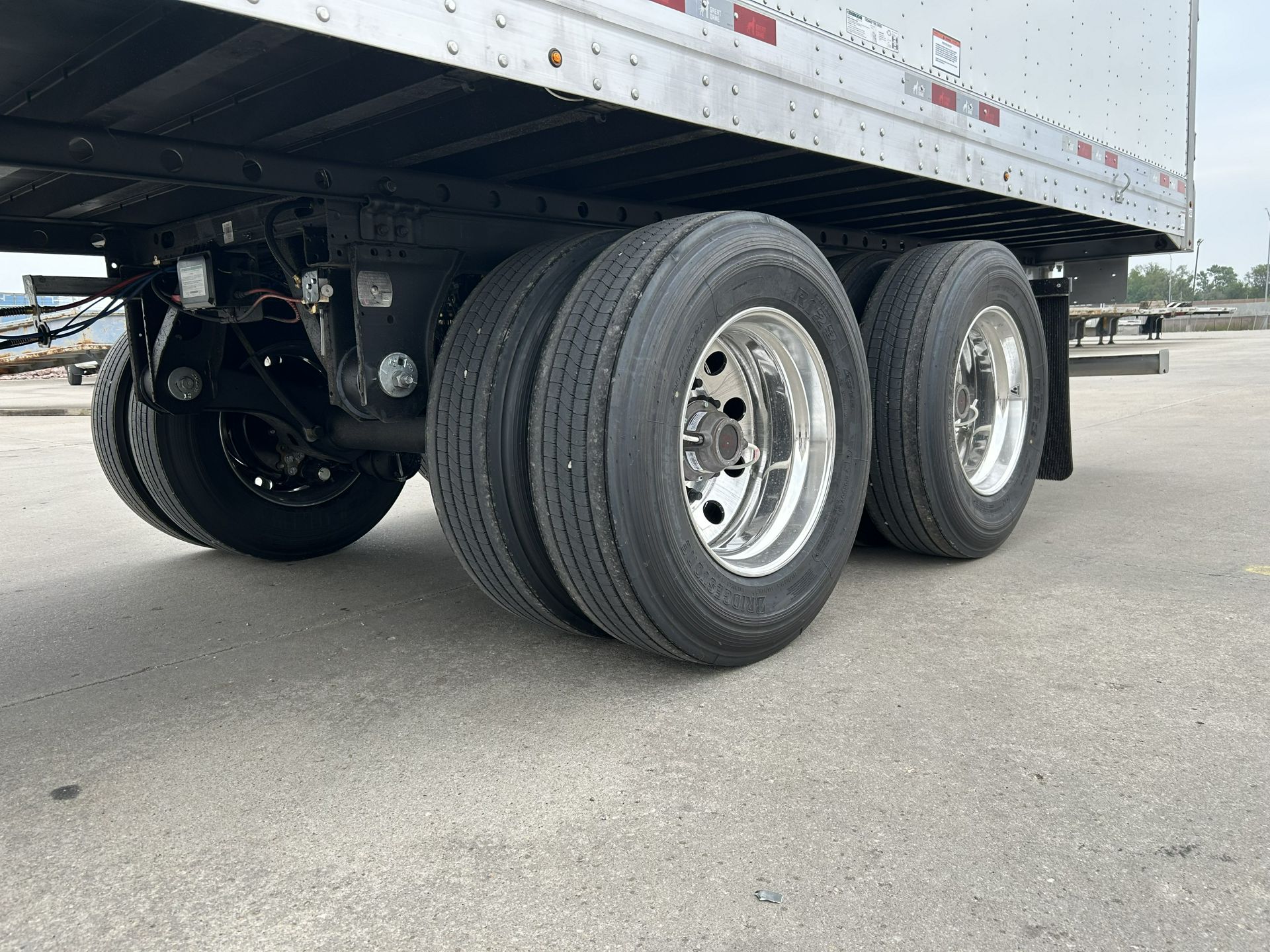 2027 Great Dane - image 4