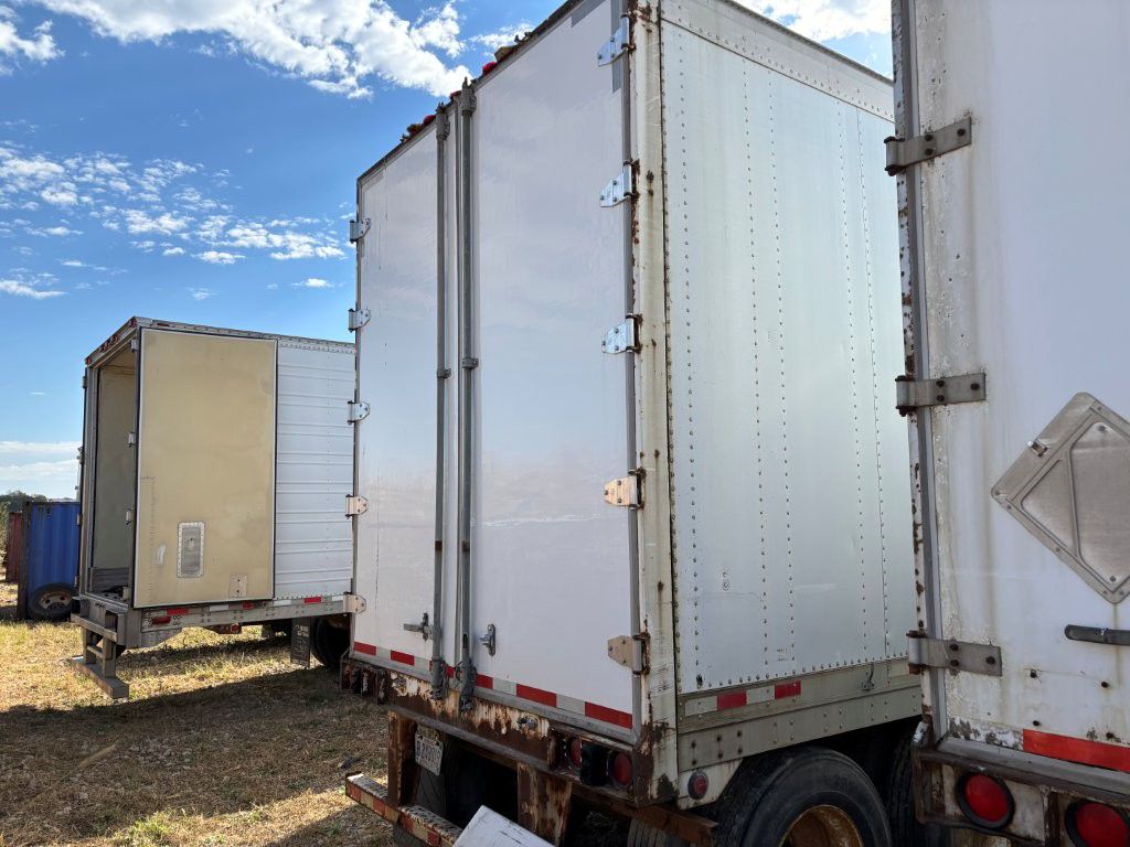 2003 Great Dane - image 4