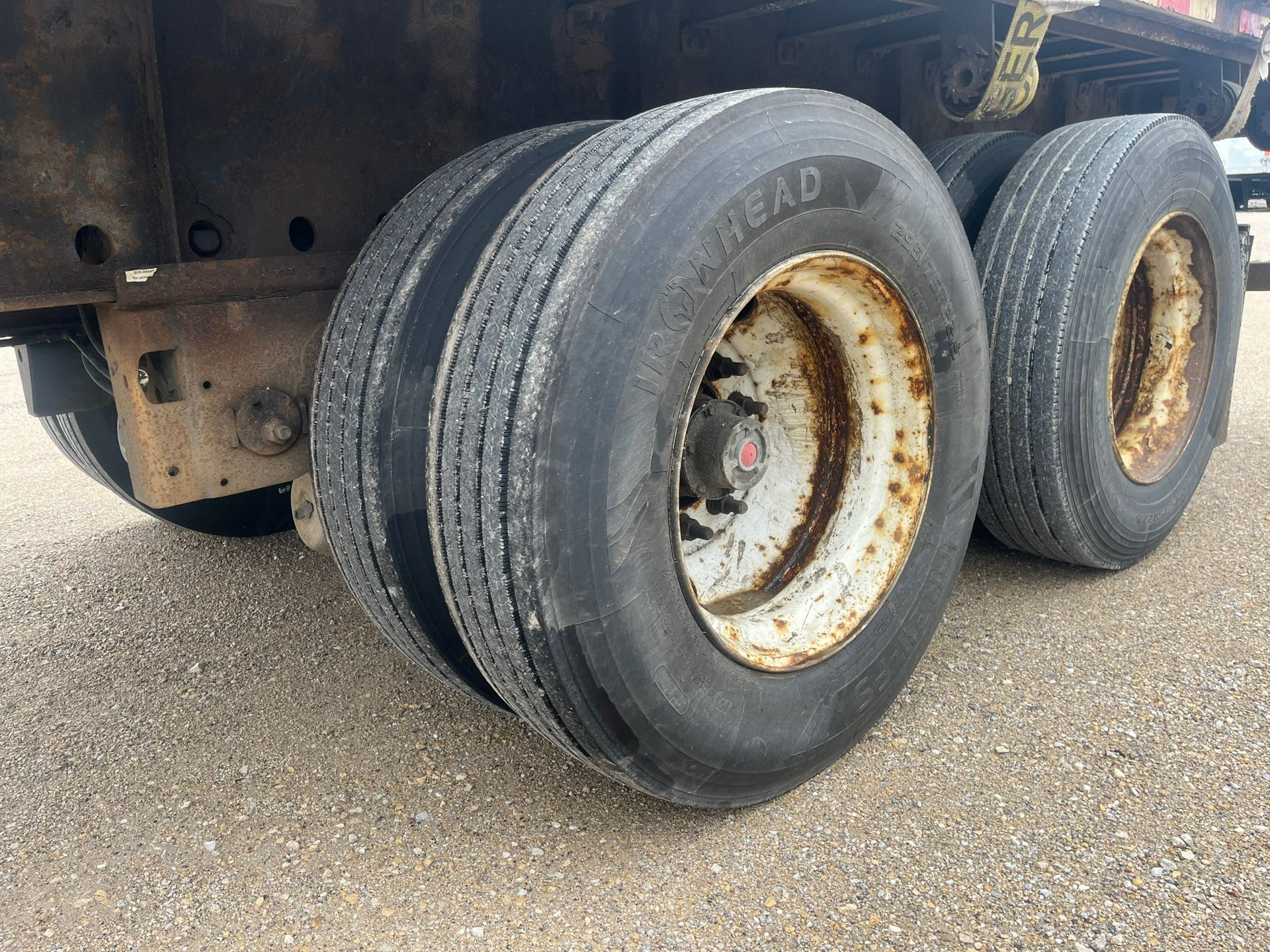 2013 Great Dane - image 5