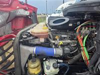 2021 Freightliner Cascadia 116